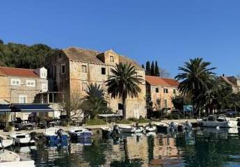 462130-Vorschaubild2