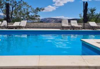 462131-Vorschaubild4