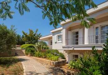 462171-Vorschaubild2