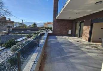 462332-Vorschaubild2