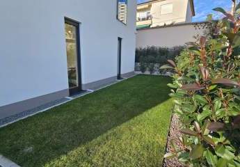 462332-Vorschaubild3