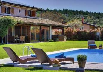 462436-Vorschaubild3