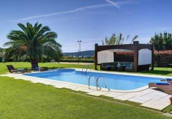 462436-Vorschaubild4