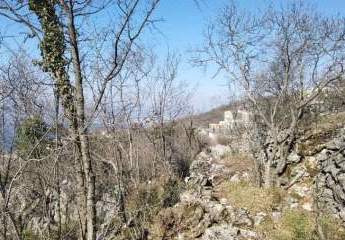 462719-Vorschaubild2