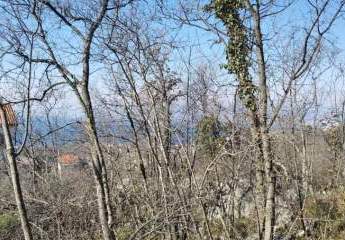 462719-Vorschaubild3