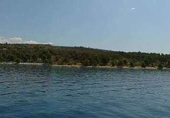 464807-Vorschaubild2