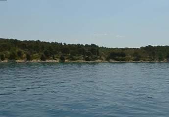 464807-Vorschaubild3