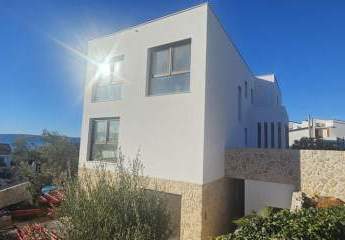 465319-Vorschaubild3