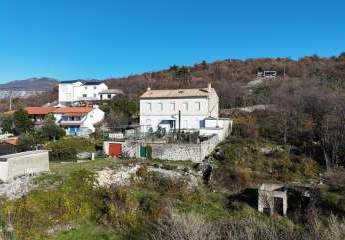 467258-Vorschaubild3