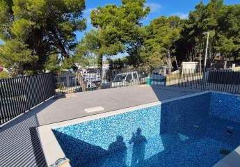 441442-Vorschaubild3