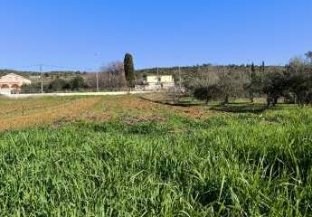 468041-Vorschaubild2