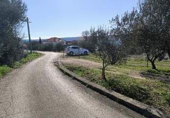 468041-Vorschaubild3