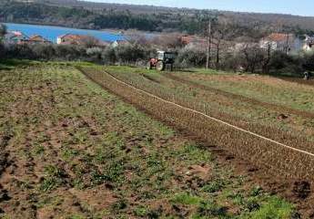 468041-Vorschaubild4