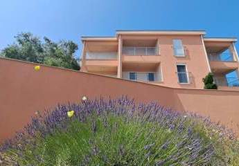 468396-Vorschaubild3