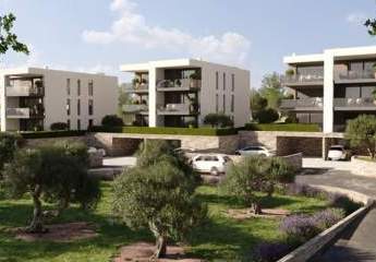 474433-Vorschaubild3