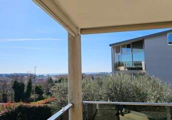 475305-Vorschaubild2