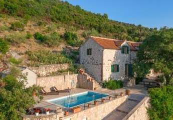 475992-Vorschaubild2