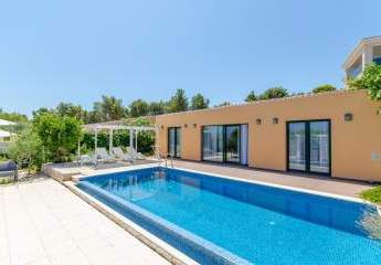 476595-Vorschaubild2