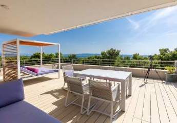 477195-Vorschaubild2