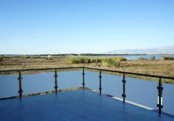 477322-Vorschaubild3