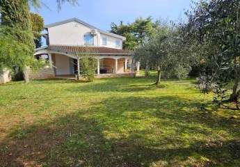 477335-Vorschaubild2