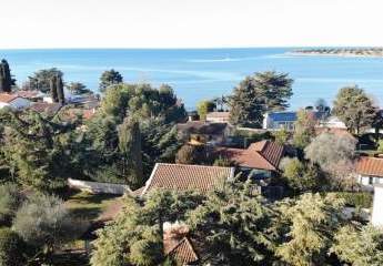 477335-Vorschaubild3