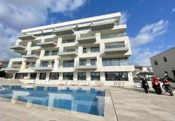 477405-Vorschaubild2