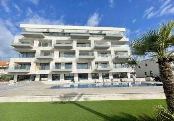 477405-Vorschaubild3