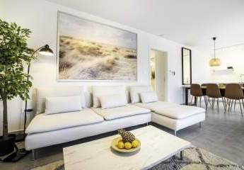 477479-Vorschaubild4