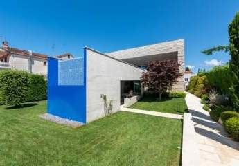 477494-Vorschaubild2