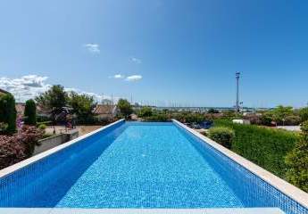 477494-Vorschaubild3