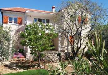 477702-Vorschaubild2