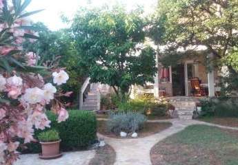 477702-Vorschaubild3