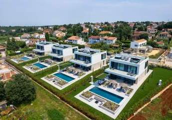 478512-Vorschaubild3