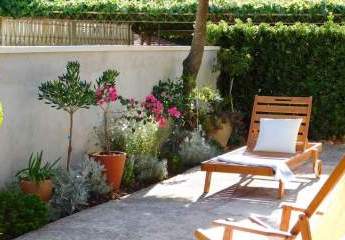 478520-Vorschaubild4