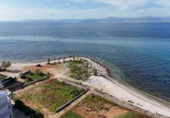 478548-Vorschaubild2