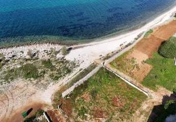 478548-Vorschaubild4