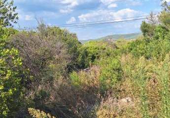 478697-Vorschaubild3