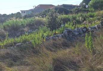 478697-Vorschaubild4