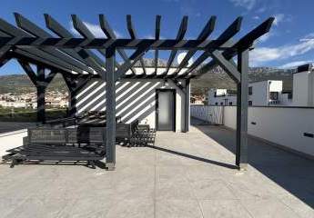 479195-Vorschaubild2