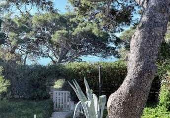 479245-Vorschaubild2