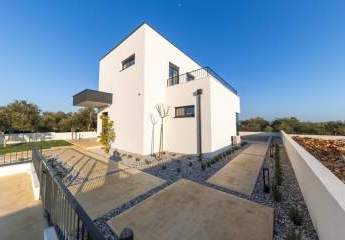 479444-Vorschaubild4