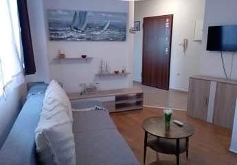 479736-Vorschaubild3