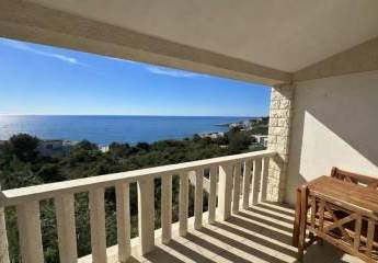 484171-Vorschaubild2