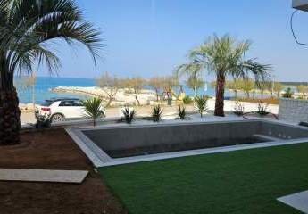 434616-Vorschaubild2