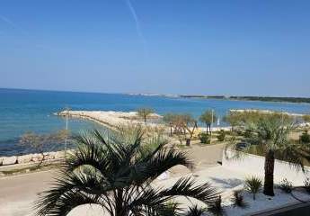 434601-Vorschaubild3