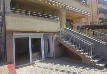 484676-Vorschaubild3