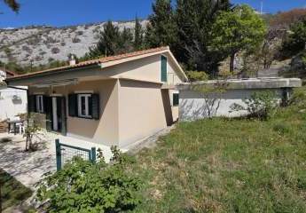 484708-Vorschaubild3