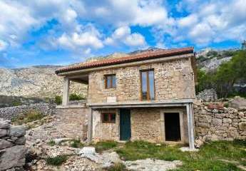 485155-Vorschaubild2