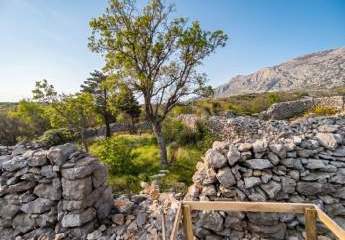 485155-Vorschaubild3